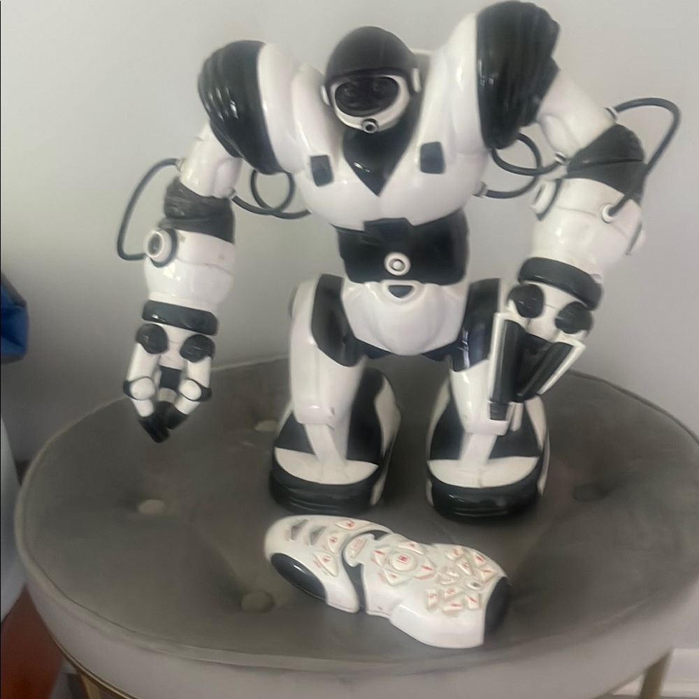 Black and White Robot Toy with Remote
